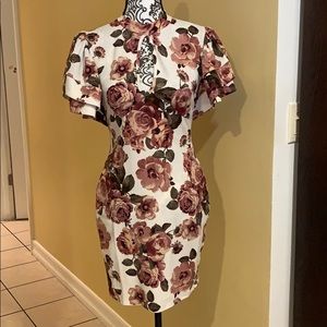 Fashion Nova two layer raffle sleeves dress